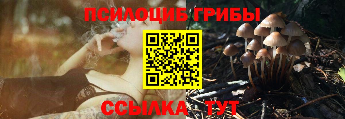 дарнет шоп  Галлюциногенные грибы ЛСД  Галлюциногенные грибы мицелий  Вход с VPN  Альметьевск 